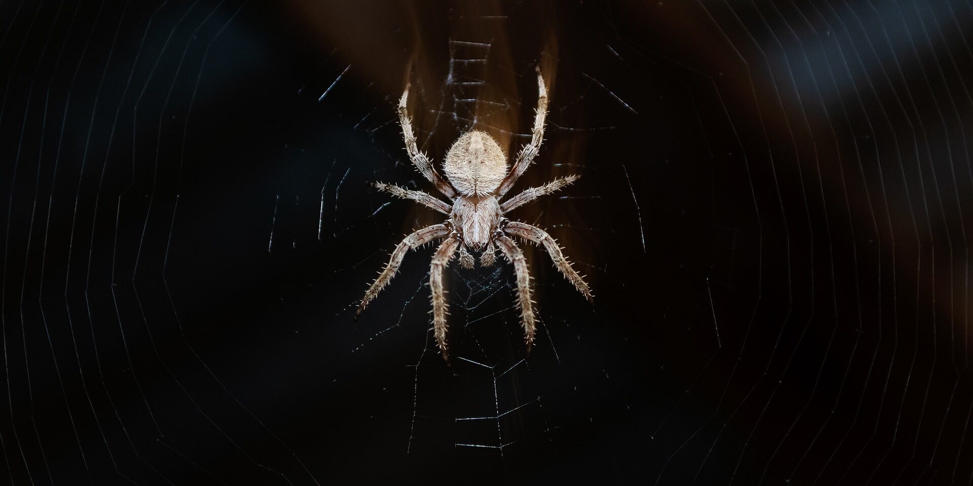 1nature-gfbcf54d39_1920